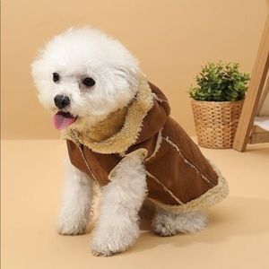 Cute Dog Jacket